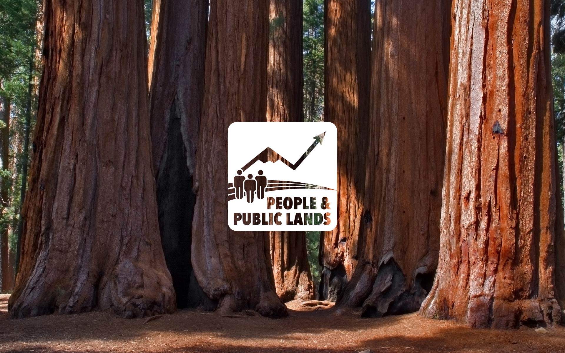 People and Public Lands Essays